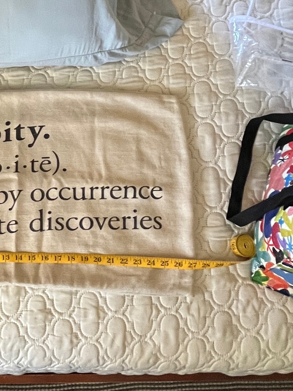 Pottery Barn Cream Accent Pillow with Black Text “Serendipity……” - Picture 10 of 12